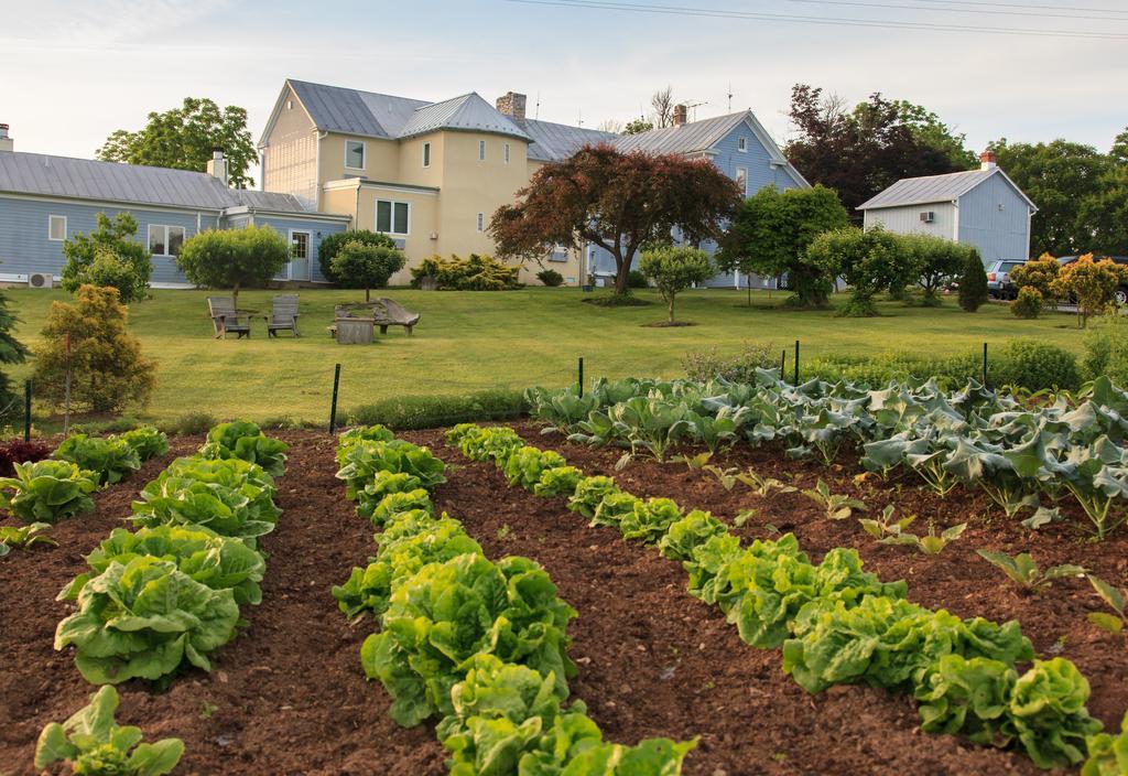L'Auberge Provencale Inn & Restaurant Boyce Экстерьер фото