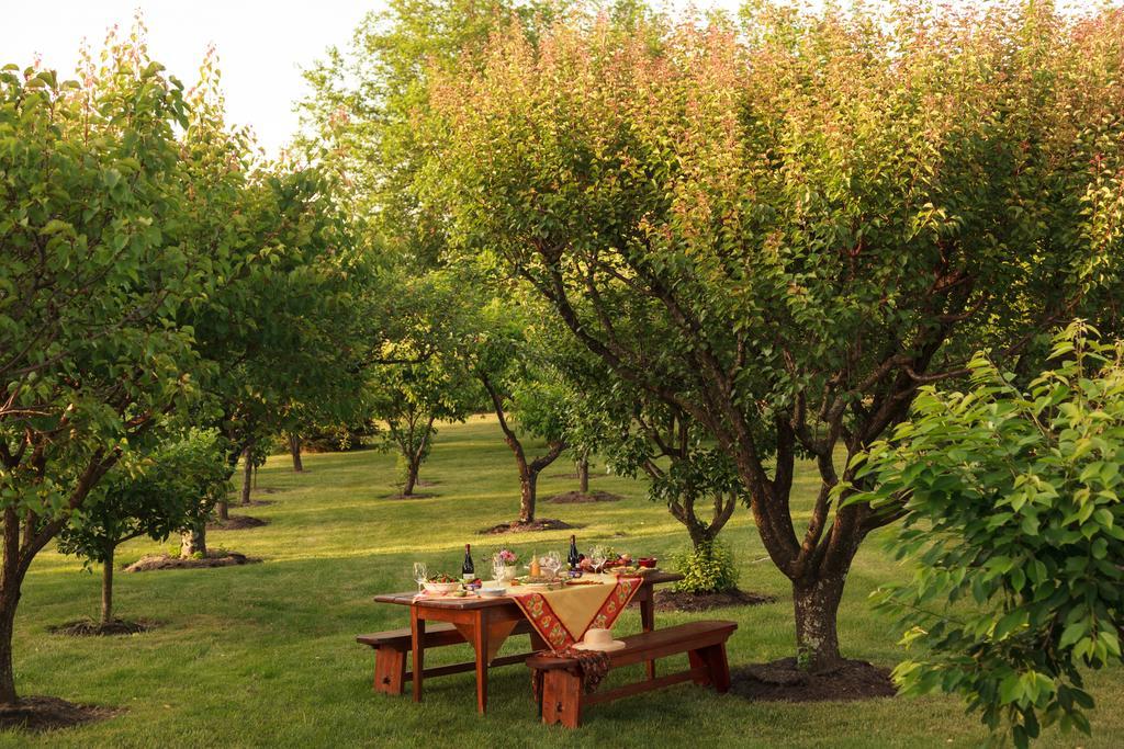 L'Auberge Provencale Inn & Restaurant Boyce Экстерьер фото